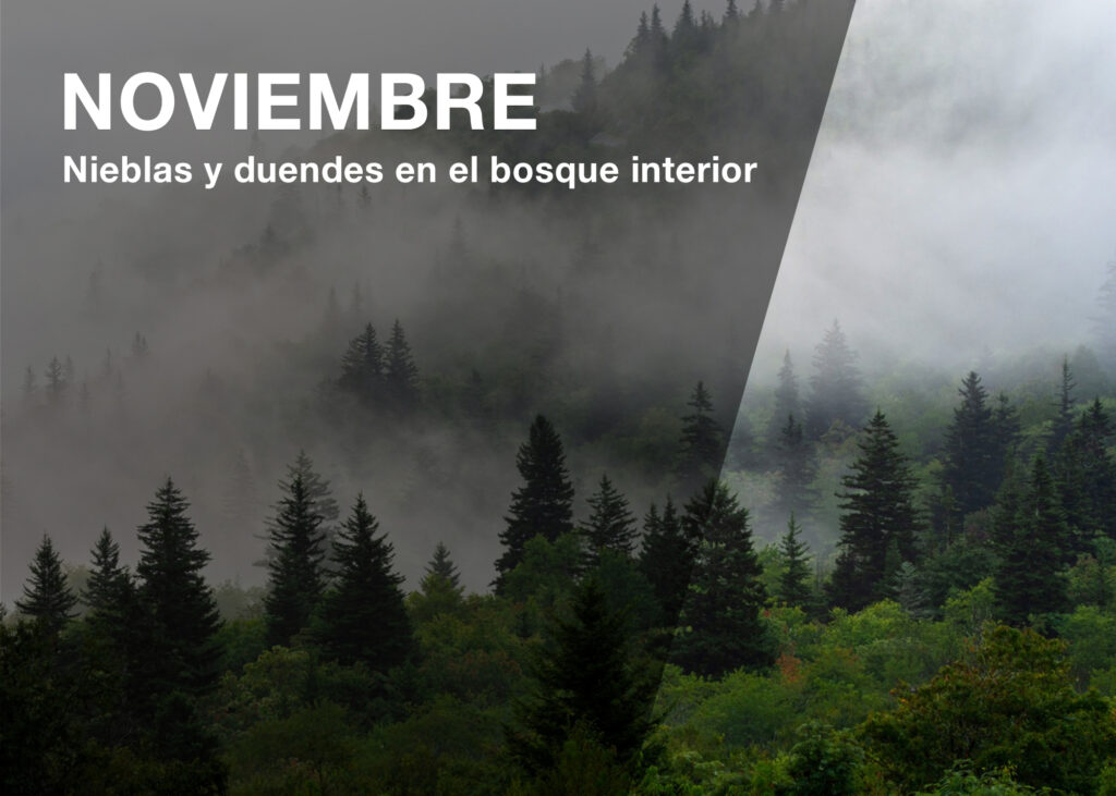 noviembre