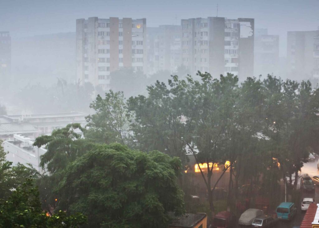niebla