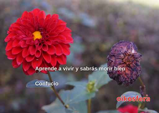 palabras-en-silencio-114