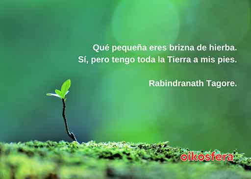 palabras-en-silencio-122