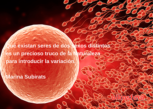 palabras-en-silencio-150