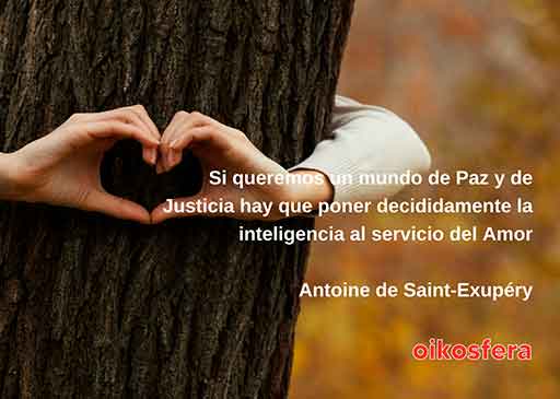 palabras-en-silencio-151