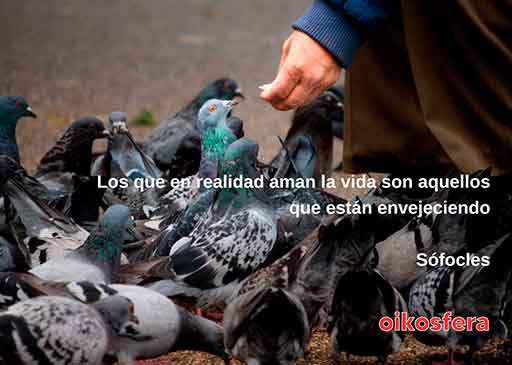 palabras-en-silencio-157