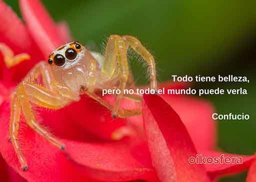 palabras-en-silencio-168