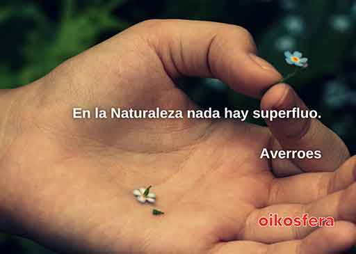palabras-en-silencio-228