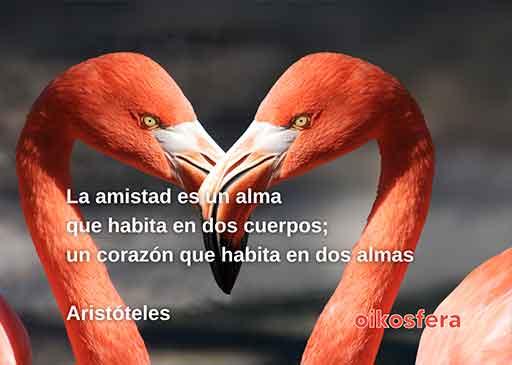 palabras-en-silencio-239