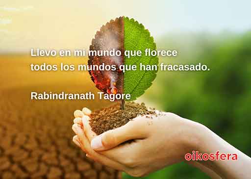 palabras-en-silencio-239